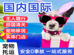 花果山空运公司国际宠物托运 【国